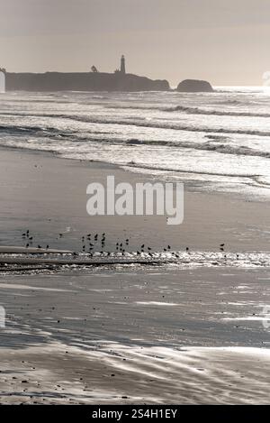 Moolach Beach and Yaquina Head, Oregon. Stock Photo