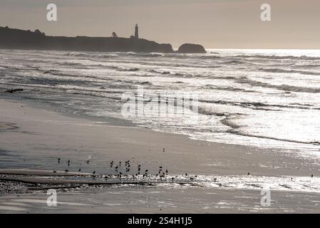 Moolach Beach and Yaquina Head, Oregon. Stock Photo