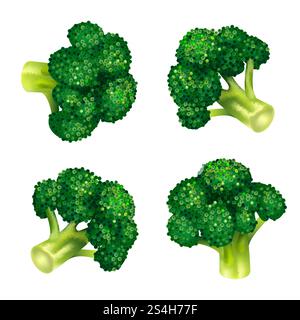 Green broccoli icon set. Isometric set of green broccoli vector icons for web design isolated on white background. Green broccoli icon set, isometric style Stock Vector