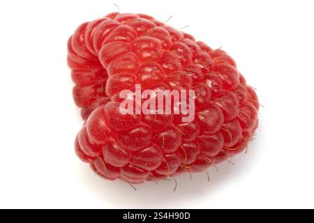 fresh raspberry, close-up, isolated on a white background Stock Photo