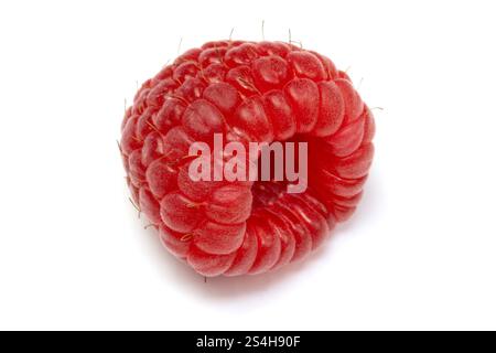 fresh raspberry, close-up, isolated on a white background Stock Photo