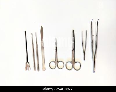A row of surgical instruments is hanging on a white wall in the room Stock Photo