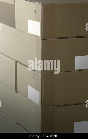 Pallets Euro with print printing mailing materials and stapled stacked cartons cardboard boxes in logistic warehouse. Stock Photo