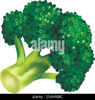Farm broccoli icon. Isometric of farm broccoli vector icon for web design isolated on white background. Farm broccoli icon, isometric style Stock Vector