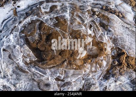 Broken and refrozen ice on a puddle, with brown mud visible underneath and small air bubbles trapped in the layers, illuminated by low winter sunlight Stock Photo