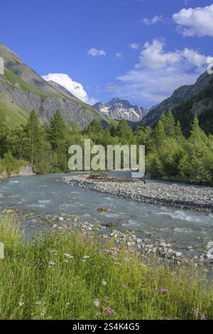 Romanche river, Villar-d'Arene, Departement Hautes-Alpes, France, Europe Stock Photo