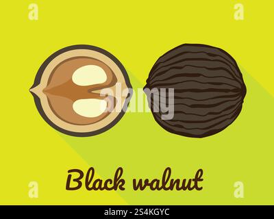 Black walnut icon. Flat illustration of black walnut vector icon for web design. Black walnut icon, flat style Stock Vector