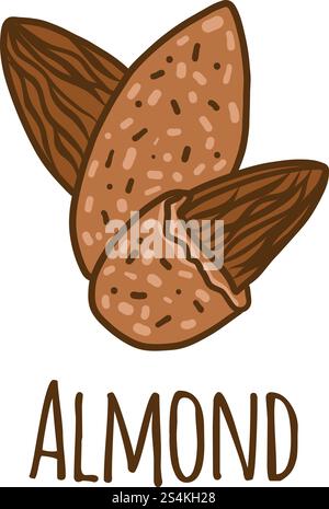 Almond icon. Hand drawn illustration of almond vector icon for web design. Almond icon, hand drawn style Stock Vector