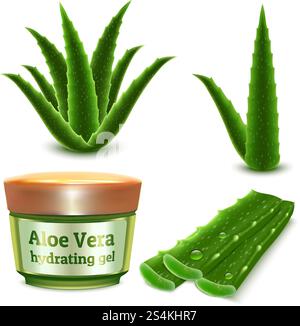 Aloe icons set. Realistic set of aloe vector icons for web design isolated on white background. Aloe icons set, realistic style Stock Vector