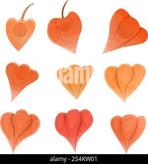 Physalis icons set. Cartoon set of physalis vector icons for web design. Physalis icons set, cartoon style Stock Vector