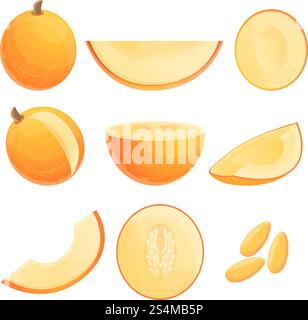 Melon icons set. Cartoon set of melon vector icons for web design. Melon icons set, cartoon style Stock Vector