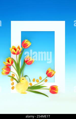 Easter chick, mini eggs and spring tulip flower abstract background with white frame border. Seasonal symbols nature design for holiday season. Stock Photo