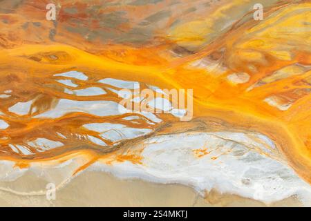 A stunning abstract composition featuring vibrant orange and white textures The fluid, organic patterns evoke a sense of movement and flow, creating a Stock Photo