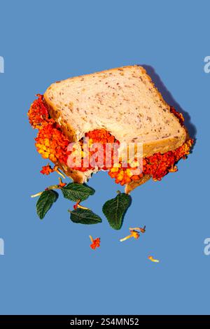 A whimsical sandwich filled with vivid orange and yellow flowers is creatively displayed on a blue background, combining nature with culinary art for Stock Photo