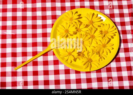 Bright yellow flowers arranged on a yellow plate, set against a red and white checkered background, creating a contrasting and colorful composition. Stock Photo