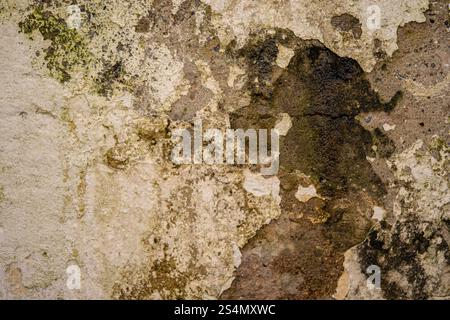 peeling and mouldy paint on a wall Stock Photo