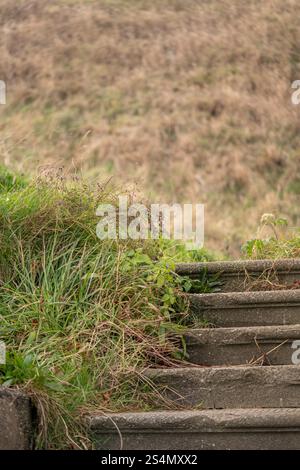 stone steps leading up a cliff at saltburn-by-the-sea, north yorkshire, england, uk Stock Photo