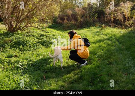 Woman in a yellow jacket petting a white labrador on a green meadow Stock Photo