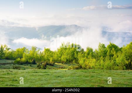 carpathian countryside with alpine meadow. weather change. sunny morning. scenery of ukrainian highland with grassy field in spring. landscape with di Stock Photo