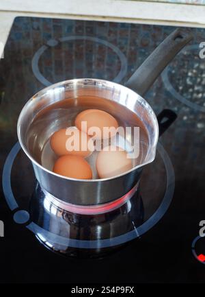 Chicken eggs are cooked in metal pot on electric stove in kitchen Stock Photo
