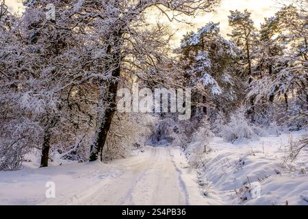 Snow covered road through the Goyt Valley near Buxton in the Peak District National Park Stock Photo