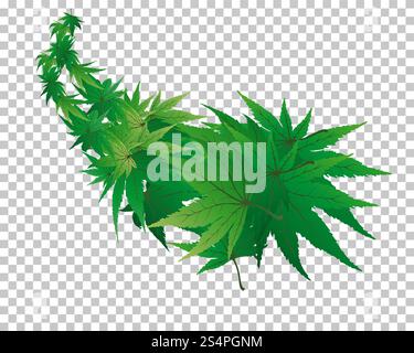 Twisted row of  maples leaves with transparency grid on back. Vector Illustration. Stock Vector