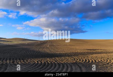 Rural landscape with plowed hills and electricity poles in Apulia, southern Italy. Stock Photo