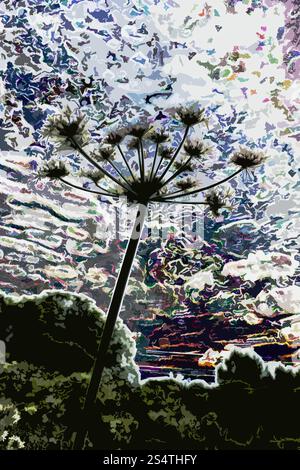 Dreamy landscape art wild carrot plant (Daucus Carota) against a multicoloured sky suit fantasy science fiction gardening, cottage garden illustration Stock Photo