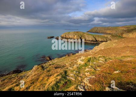 Ynys y Fydlyn on the Anglesey Coast Path with the Skerries in the background, Anglesey, North Wales Stock Photo