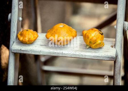 Closeup photo of three small pumpkins lying on wooden stairs Stock Photo