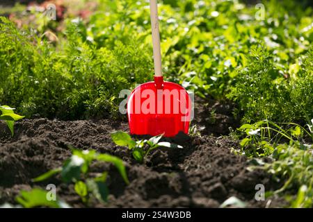 Spade stuck in the soil Stock Photo - Alamy