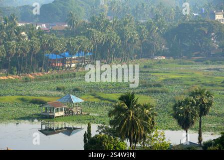 a smal lake in the city centre of Myeik in the south in Myanmar in Southeastasia. Stock Photo