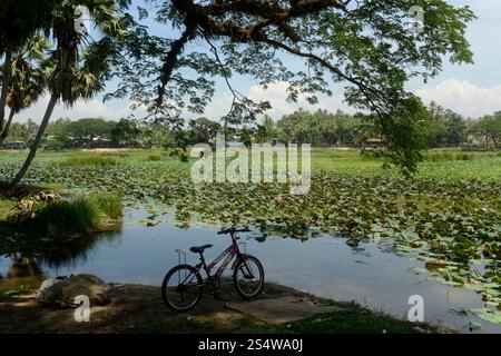 a smal lake park in the city centre of Myeik in the south in Myanmar in Southeastasia. Stock Photo