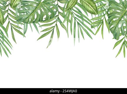 Watercolor green palm areca and monstera leaves horizontal border isolated background. Hand painted tropical foliage frame with empty space for text. Stock Photo