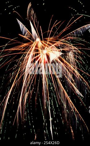 Fireworks exploding in the night sky Stock Photo