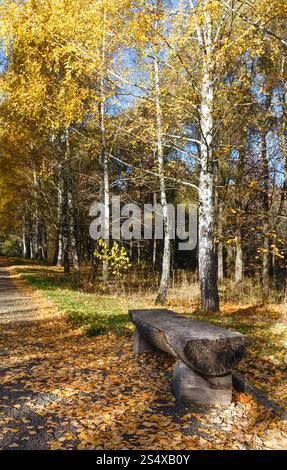 The path strewn with autumn yellow leaves of trees. Autumn alley Stock ...
