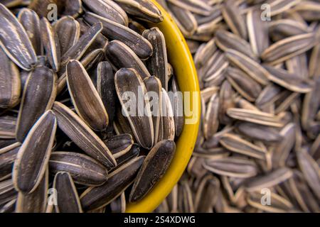 Close-Up of Sunflower Seeds in a Yellow Bowl with a Soft, Blurred Background Stock Photo