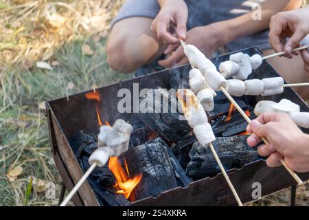 Roasting marshmallows over a campfire while camping. Hands of friends at a campsite over a barbecue. Outdoor sweet camp food Stock Photo