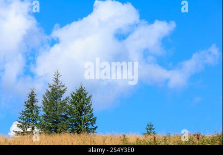 Beautiful blue sky with white cumulus clouds over summer mountain hill with fir trees. Stock Photo