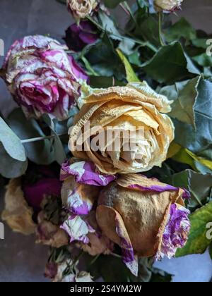Decaying White Roses Withered, decaying, roses flowers on black concrete background. Side ...