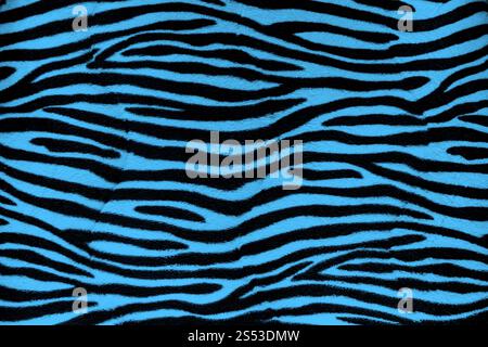 Blue zebra fur background texture close up view. Blue zebra fur background texture Stock Photo