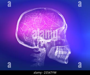 Human skull X-ray image. Artificial intelligence futuristic concept. Human skull X-ray image. Artificial intelligence concept Stock Photo