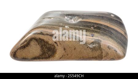 closeup of sample of natural mineral from geological collection - polished marl shale rock isolated on white background Stock Photo