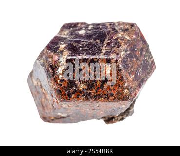 closeup of sample of natural mineral from geological collection - rough Almandine (almandite, garnet) crystal isolated on white background. rough Stock Photo
