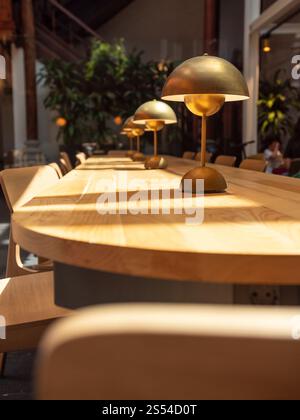 Closeup photo of metal lamps on long wooden desk at modern library. Closeup image of metal lamps on long wooden desk at modern library Stock Photo