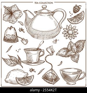 Tea collection and herbal flavorings sketch vector icons. Isolated set of hot teapot and black or green tea cup, lemon, peppermint or aroma herb and earl grey teabags and chamomiles or fruit berry. Tea collection vector sketch icons of cups, teapot and teabags or herbal flavorings Stock Vector