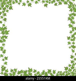 Frame of ivy vines with green leaves. Garden wall decoration with ...