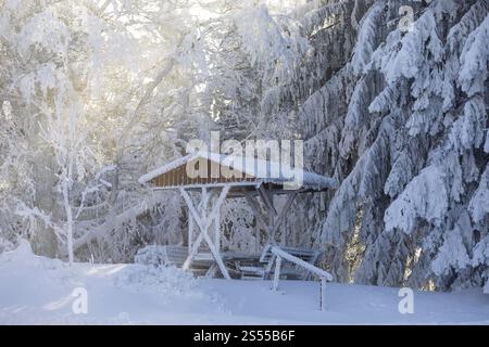 Sun shining through the trees covered in thick hoarfrost onto the snow-covered picnic area on the Auersberg, Eibenstock, Erzgebirge, Saxony, Germany, Stock Photo