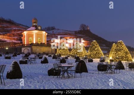 Wackerbarth's Winter Magic, Belvedere and vineyard with Christmas lights and snow, Radebeul, Saxony, Germany, Europe Stock Photo