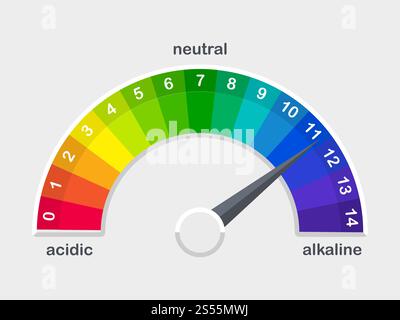 pH value colored scale meter for acid and alkaline solutions vector illustration isolated. pH value scale meter for acid and alkaline solutions vector illustration Stock Vector